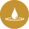 icono web oro 2@